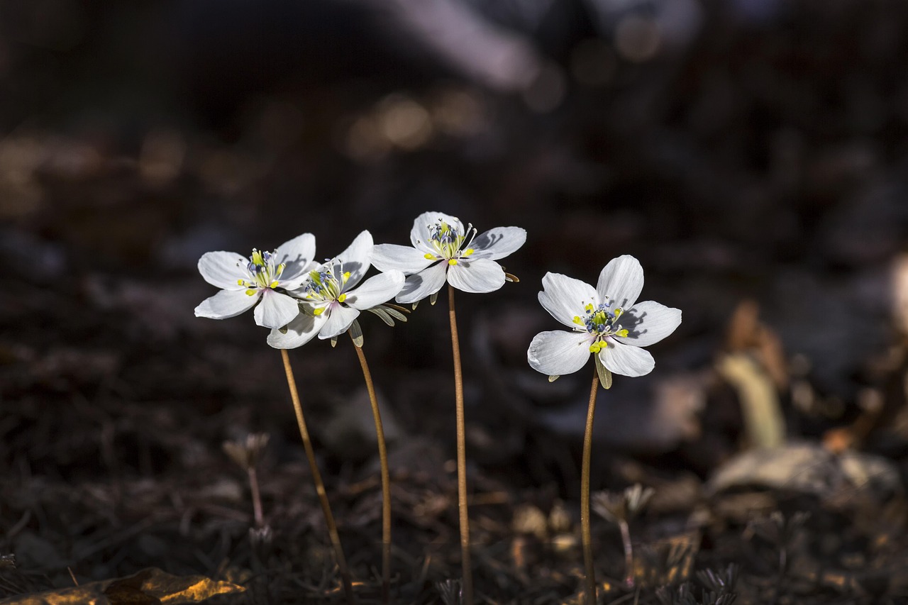김제 개인회생 무료상담 신청 | 잘하는 전문변호사 추천 Top.3(자격 비용 기간 절차)