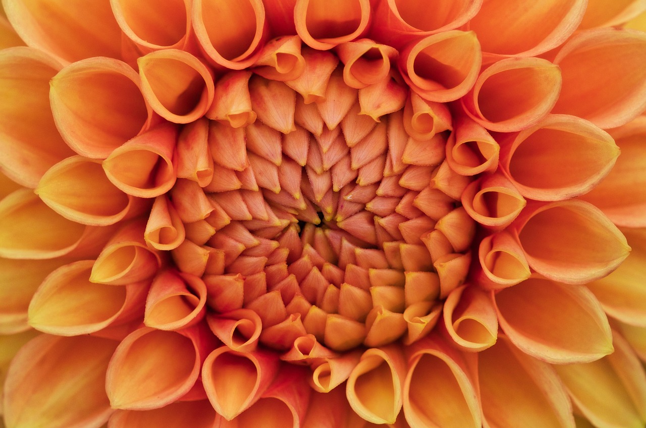 창원 진해구 개인회생 무료상담 신청 | 잘하는 전문변호사 추천 Top.3(자격 비용 기간 절차)