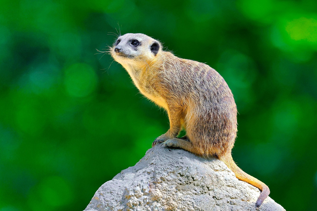 청양 개인회생 무료상담 신청 | 잘하는 전문변호사 추천 Top.3(자격 비용 기간 절차)