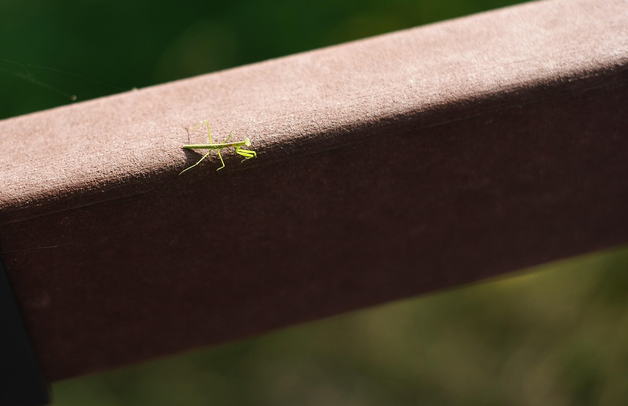 장성 개인회생 무료상담 신청 | 잘하는 전문변호사 추천 Top.3(자격 비용 기간 절차)